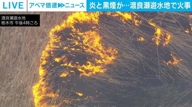 燃えるヨシの枯れ草