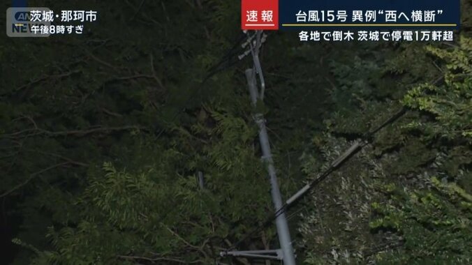 電信柱