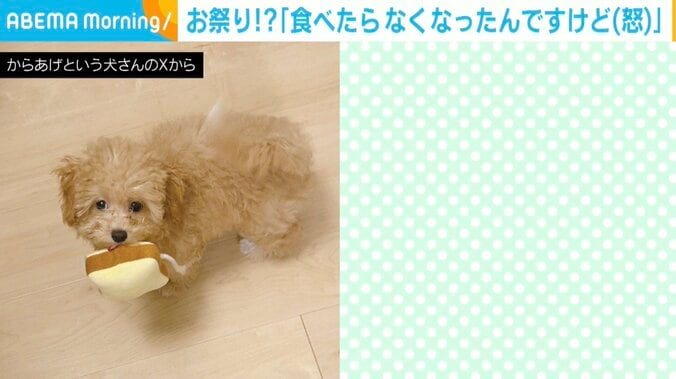 マルプーのからあげちゃん