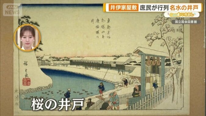 桜の井戸