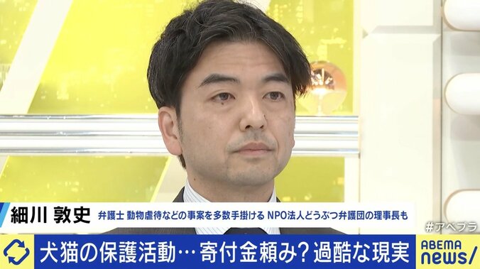 細川敦史弁護士