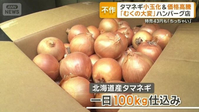 一日100キロ使う北海道産タマネギ