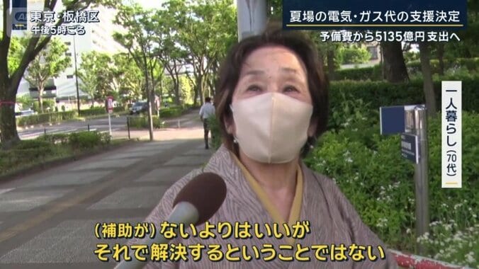 一人暮らし（70代）