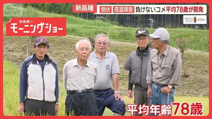 平均年齢78歳！コメ作り素人集団の挑戦　台風や猛暑に負けない新品種　稲の背丈に注目 1枚目
