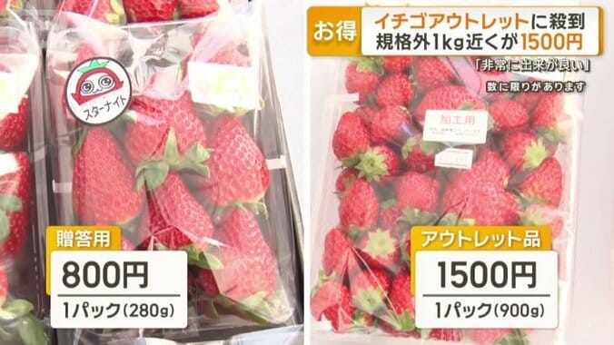 贈答用（左）　アウトレット品（右）