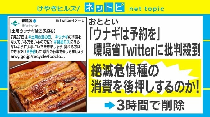 環境省「土用のウナギはご予約を」ツイートに批判殺到、深刻な“食品ロス”伝わらず 1枚目