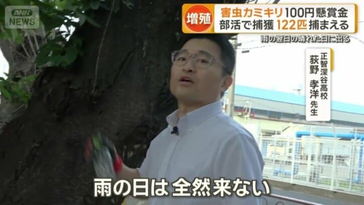 「雨の日は全然来ない」