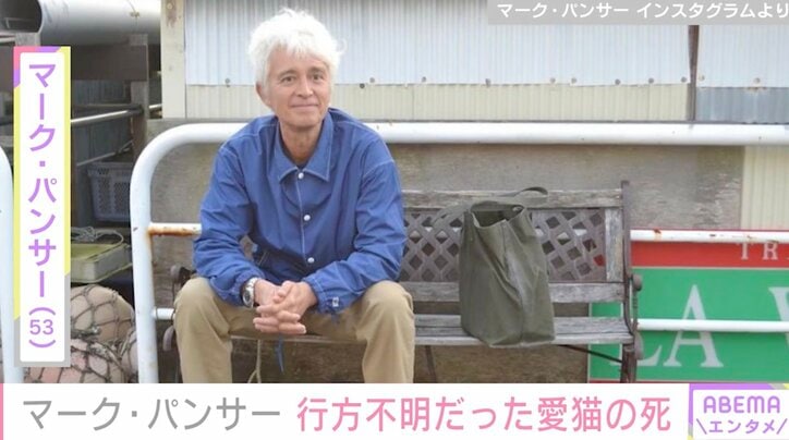 マーク・パンサー、行方不明だった2歳愛猫との別れを報告 「一緒に探してくれた皆様 本当にありがとうございました」