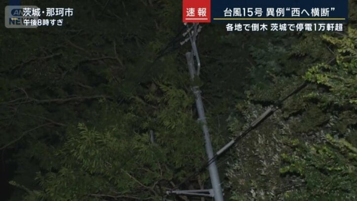 電信柱