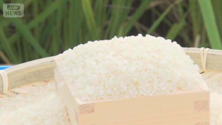 価格の高騰が続くコメ