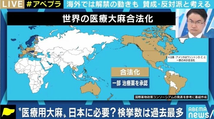 所持での検挙数が過去最多…日本でも「医療用大麻」を認めるべきなのか?賛成派・反対派の意見は