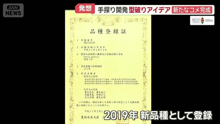2019年に新品種として登録