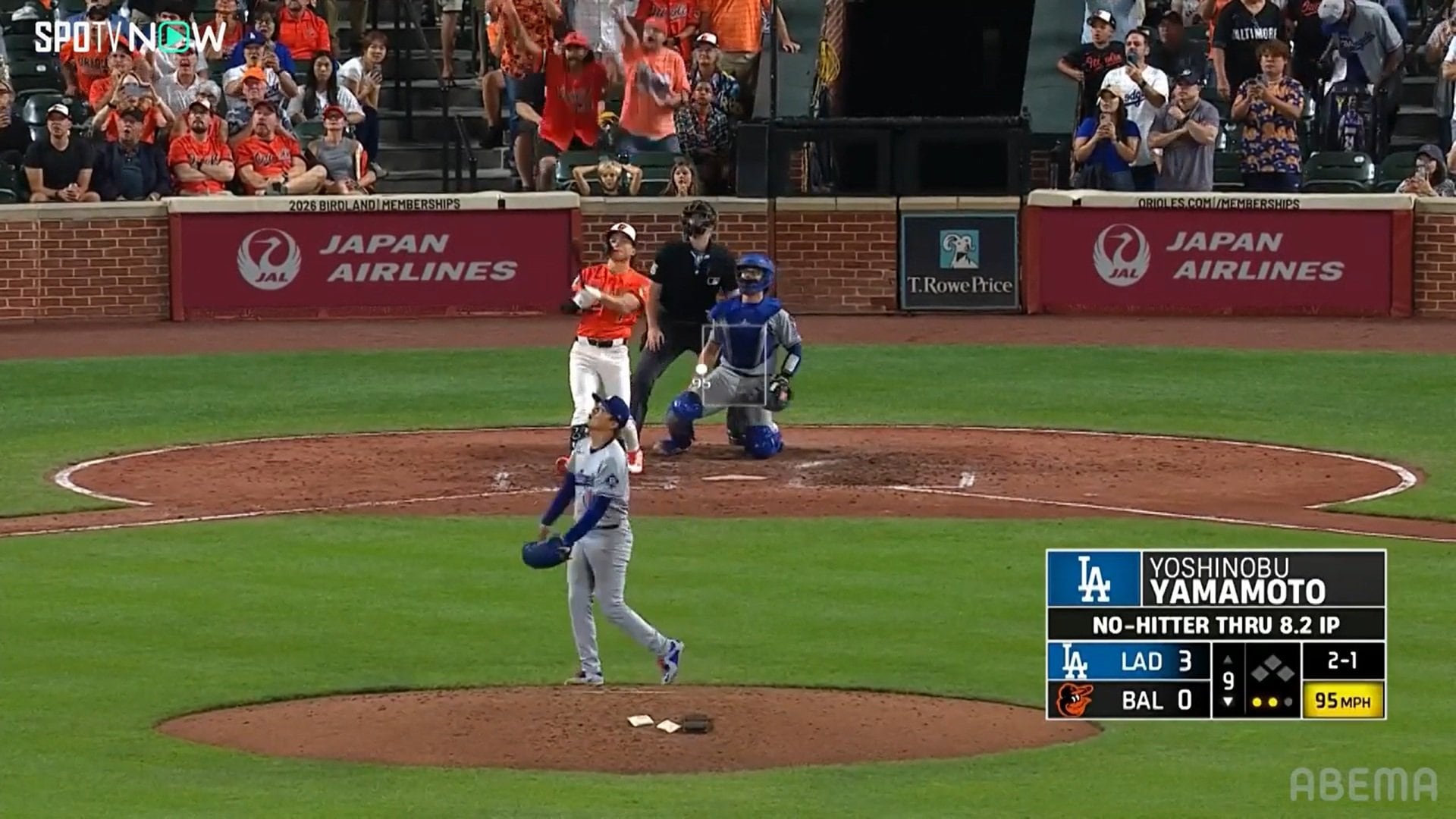 【写真・画像】　2枚目