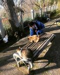 町田啓太、“猫とのふれあいショット”に「可愛いオブ可愛い」「猫になりたい」の声