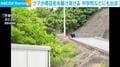 クマが商店街を駆け抜ける 中学校などにも出没