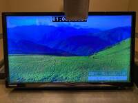 戸田恵子『いわんこっちゃない〜!』