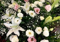 大和田美帆『2021/11/04』