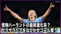 【映像】サラサラヘアをなびかせながらリーグ最多得点記録を更新するハーランド