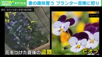 【映像】妻の趣味奪った“プランター”泥棒に怒り