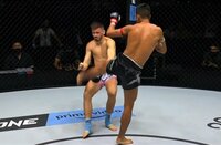 【映像】倒されたことすら気づかない衝撃KO