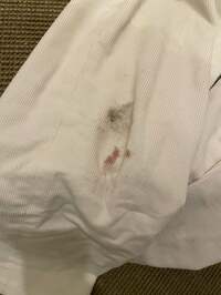 高橋克典『転んだ。』