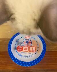 遠野なぎこ『『“なんでだろ…(*´Д`*)/”』』