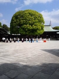 松居直美『最近の更年期』