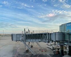  アグネス・チャン、香港に到着後に医師の義兄から言われたこと「飛行機などで感染してるかも」 