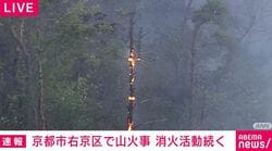 京都市右京区で山火事 消火活動続く