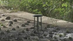 川で発見された遺体は指名手配の男と断定　座っていた橋の下から10キロ先　母娘殺害