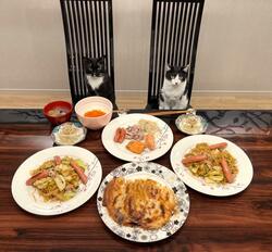  藤あや子、孫が完食した“居酒屋メニュー”のような夕食「ご馳走ですね」「盛り沢山」の声 