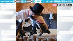 掃除に行った飼育員が帰ってこない…ペンギンと掃除係の“微笑ましい様子”に「コレは帰れない」「いいなぁ…羨ましいなぁ…」と反響
