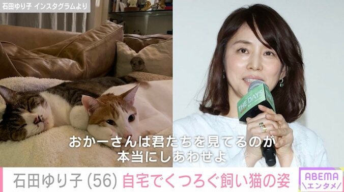 【写真・画像】「インテリアがすてき、憧れます」 石田ゆり子（56）、“雑貨まみれの部屋”と愛猫の日常に絶賛の声「癒やしの光景」　2枚目
