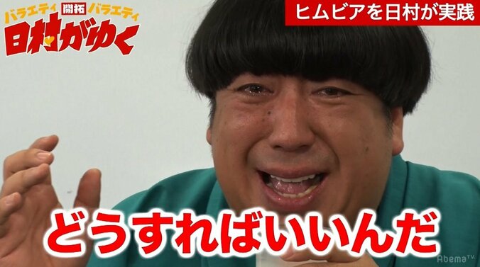 バナナマン日村、世界一辛い香辛料に号泣「嘘ばっか言いやがって」 1枚目