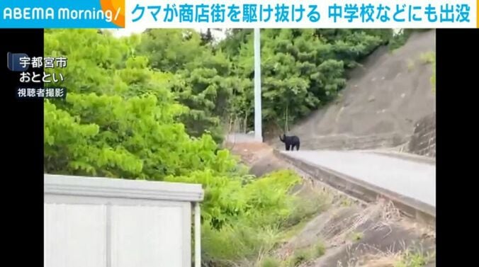 宇都宮市