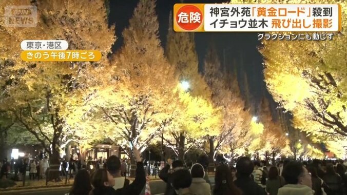 東京・神宮外苑のイチョウ並木