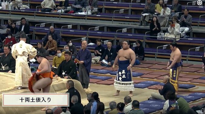 新十両の十両十三枚目・藤凌駕（藤島）