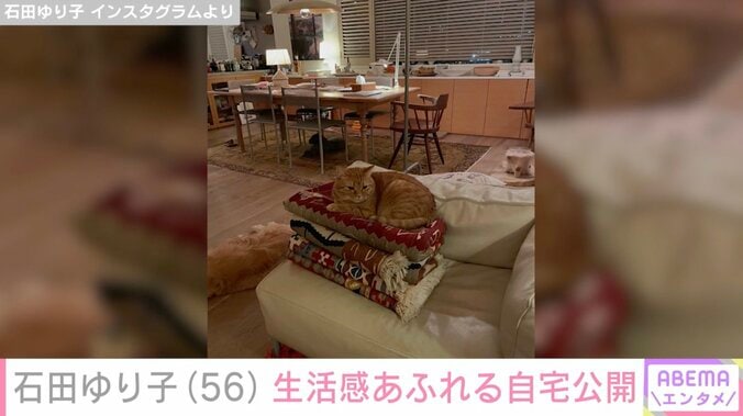 石田ゆり子（56）、ペットたちが自由気ままに過ごす生活感あふれる自宅を公開「全てが絵になる」 3枚目