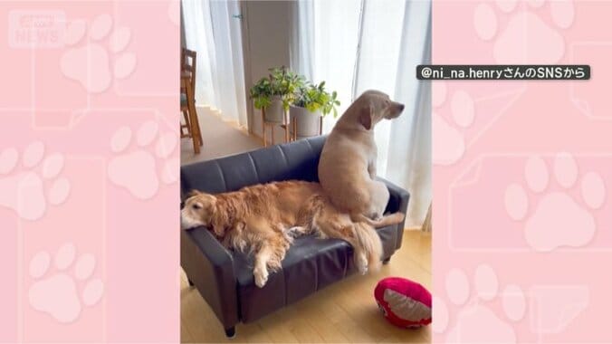 ちょっと失礼します