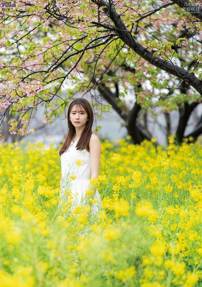 別冊付録：菅原咲月の両面ポスター