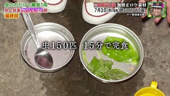 虫150匹を15分で完食、衝撃の“虫ディナー”を無修正で公開　井上咲楽「これはデザート」 6枚目