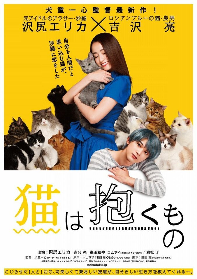 沢尻エリカ主演『猫は抱くもの』“猫の日”に擬人化猫キャスト発表　劇伴は「水曜日のカンパネラ」 3枚目