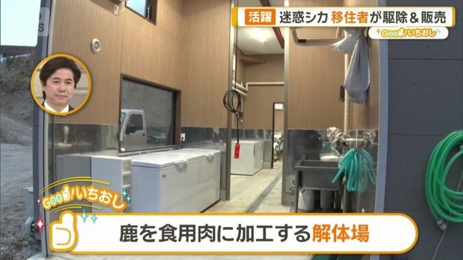 鹿を食用肉に加工する解体場