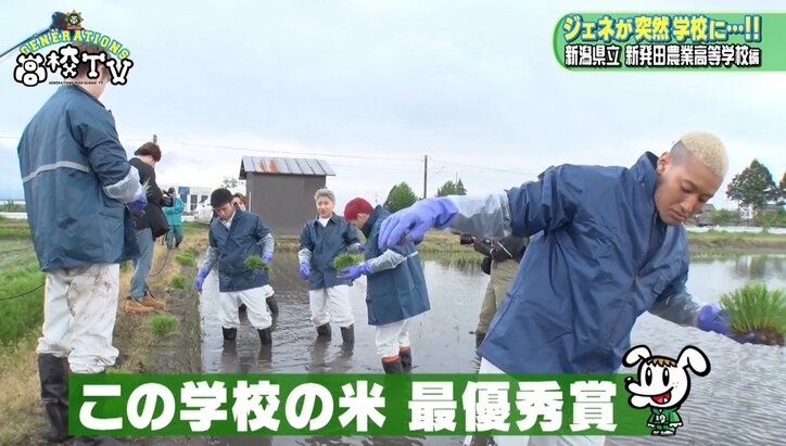 GENERATIONSが“ジェネ米”作りに挑戦? 手植えに大苦戦!