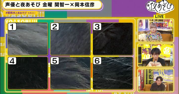 【写真・画像】　5枚目