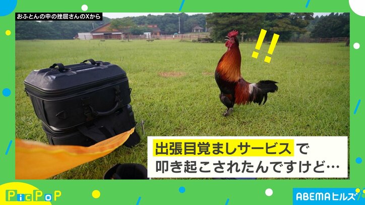 キャンプ場に登場した“スペシャルゲスト”