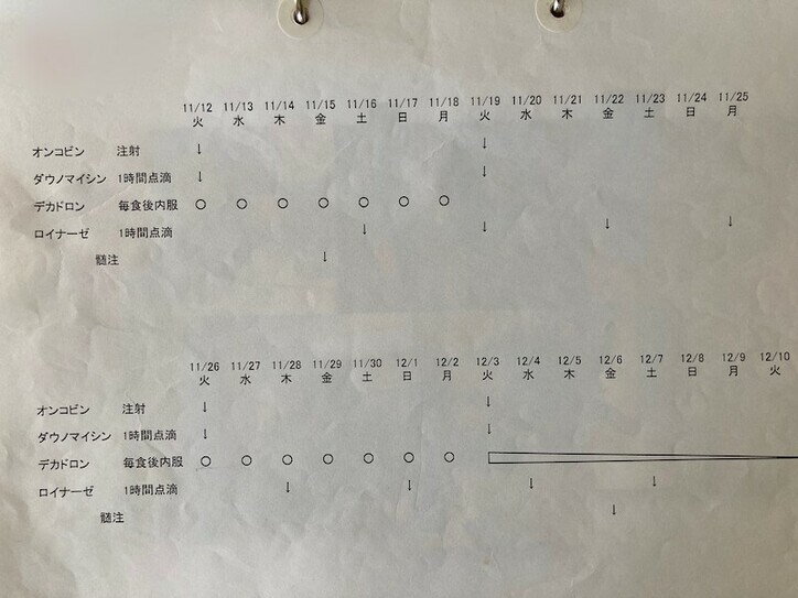 【画像】治療予定表