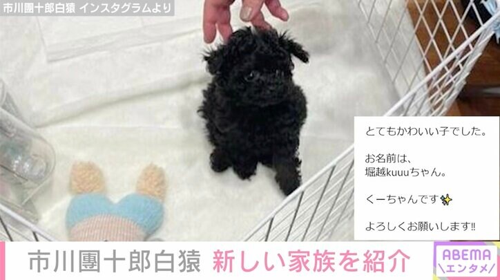 市川團十郎白猿、“新しい家族”に迎えた黒い子犬を紹介「勸玄も一つ大人になって、お世話するという事です」