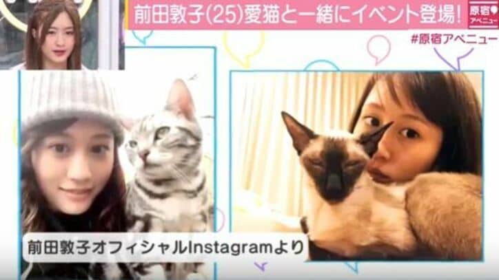 前田敦子、愛猫とイベントに登場 「指原を猫好きにしたのは…」エピソード告白 2枚目