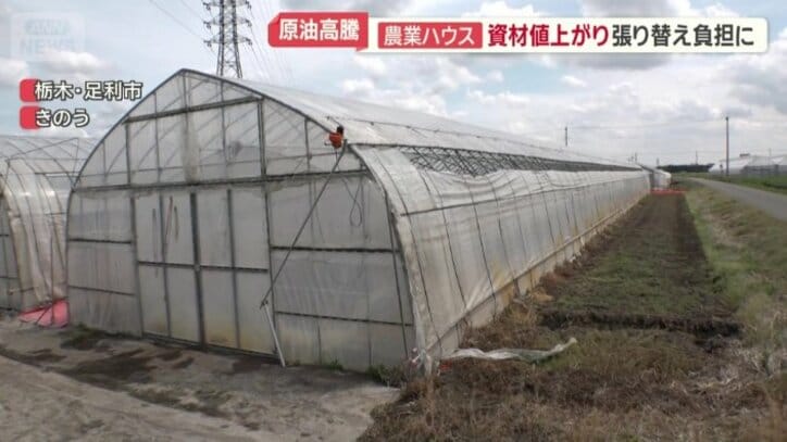 フィルムの張り替え頻度は5年に1回